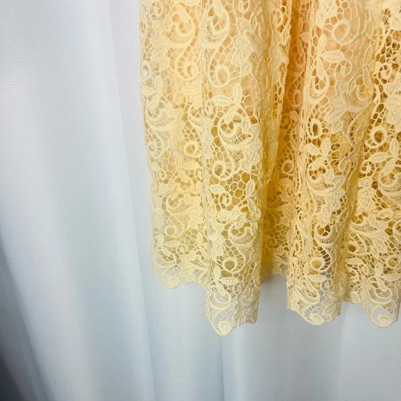 H&M Lace Midi skirt - Picture 12 of 12